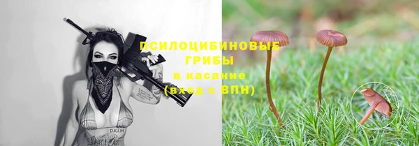 2c-b Лагань