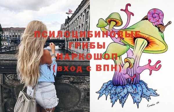 метадон Ладушкин