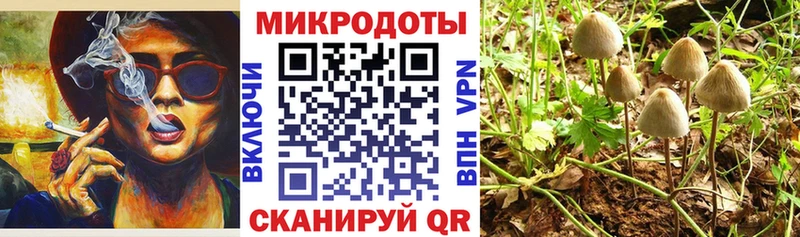 Галлюциногенные грибы Psilocybine cubensis Домодедово