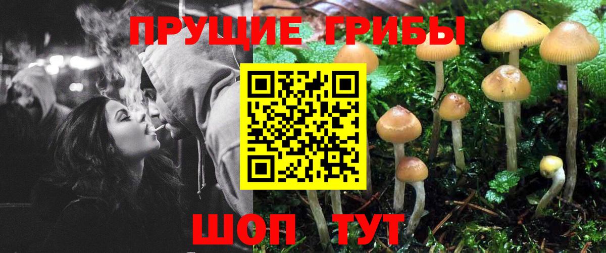 Галлюциногенные грибы мицелий Домодедово