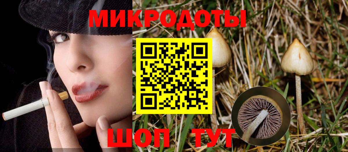 Псилоцибиновые грибы Psilocybe  как найти наркотики  Домодедово 