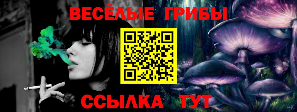 Домодедово  Галлюциногенные грибы мицелий  Вход с VPN 
